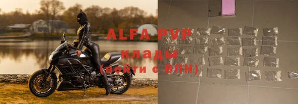 молекула духа Арсеньев
