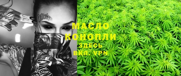 дмт Алзамай