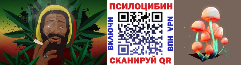 Псилоцибиновые грибы Psilocybine cubensis  продажа наркотиков  нарко площадка формула  Невьянск 